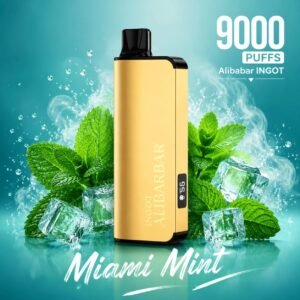 Alibarbar Miami Mint 9000 Puffs