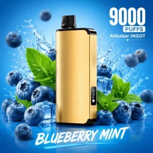 Alibarbar Blueberry Mint 9000 Puffs